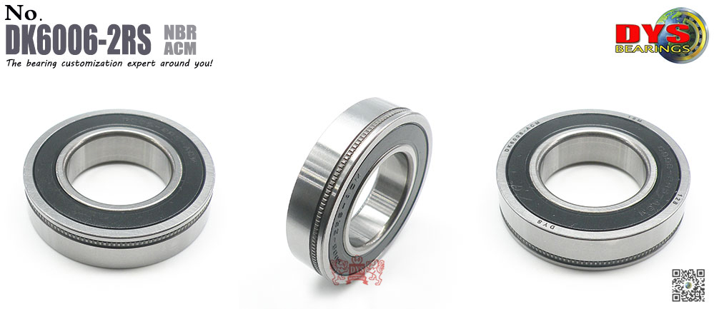 DK6006-2RS-1000 (2)