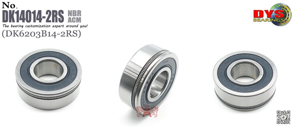 DK6203B14-2RS-1000 (2)