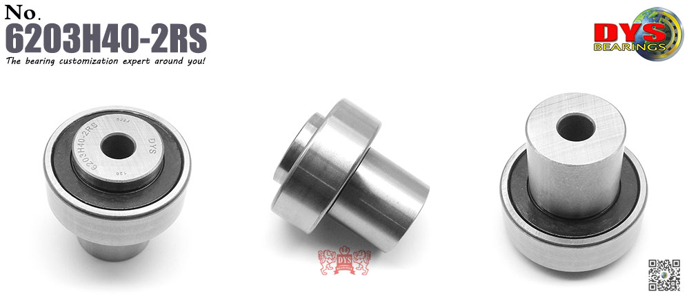 6203H40-2RS-1000